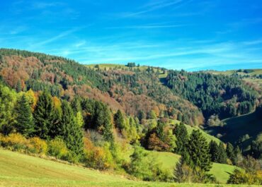 Schwarzwald