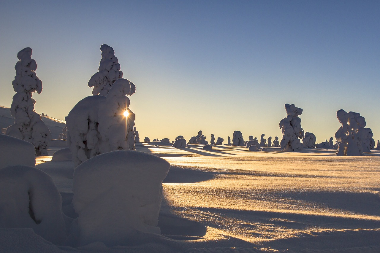 Lappland - Winter