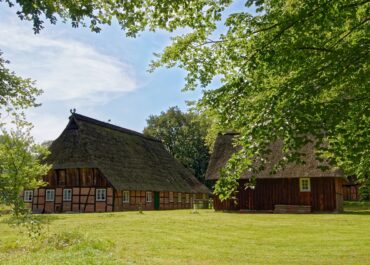 Lüneburger Heide 2